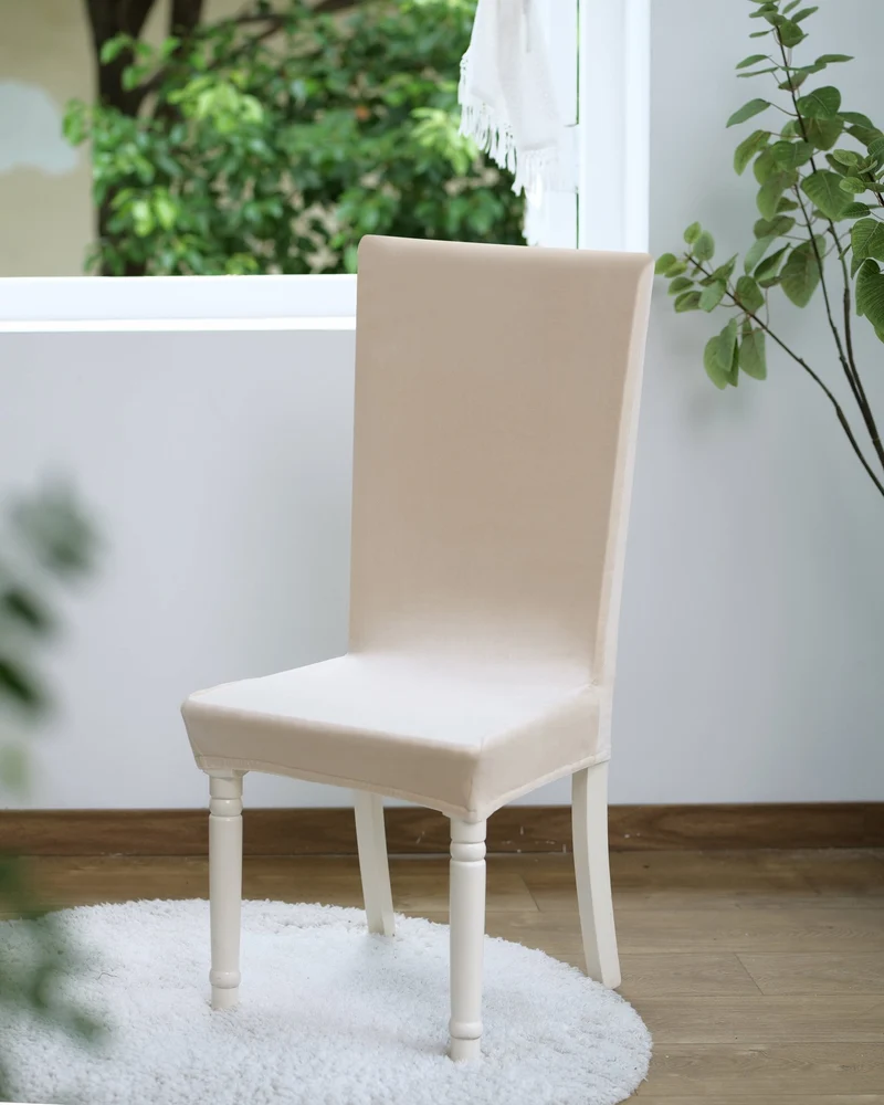 Velour | Coprisedia in Velluto Elastica con Fascia Elastica