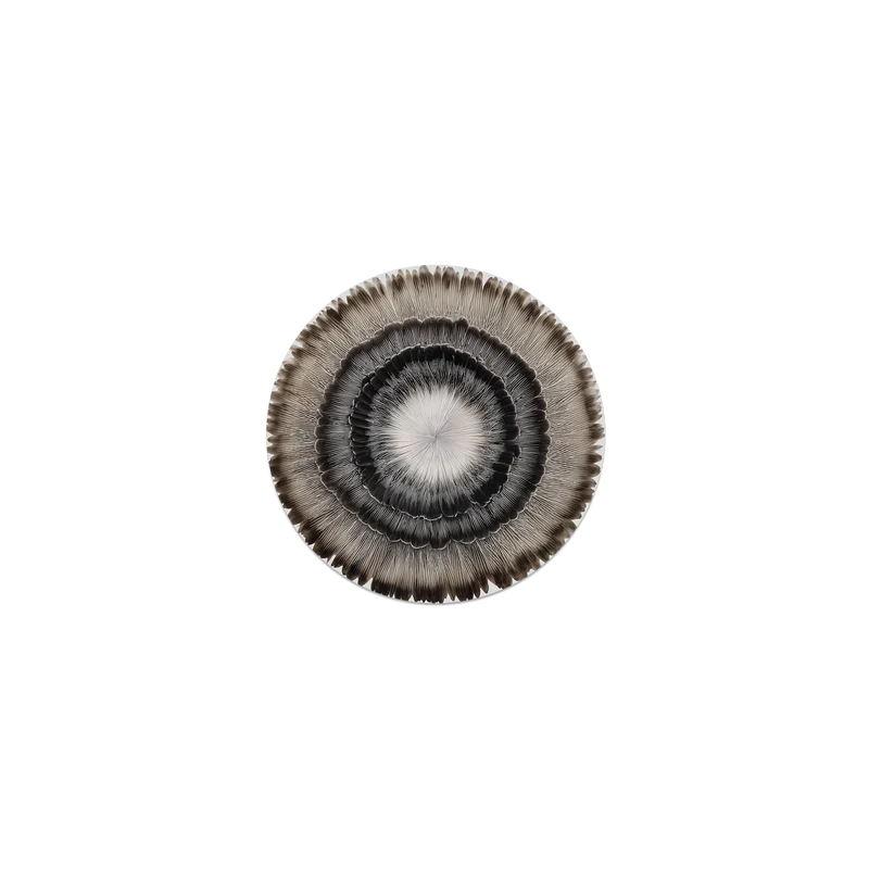 Set di 6 sottobicchieri in vinile Bombax