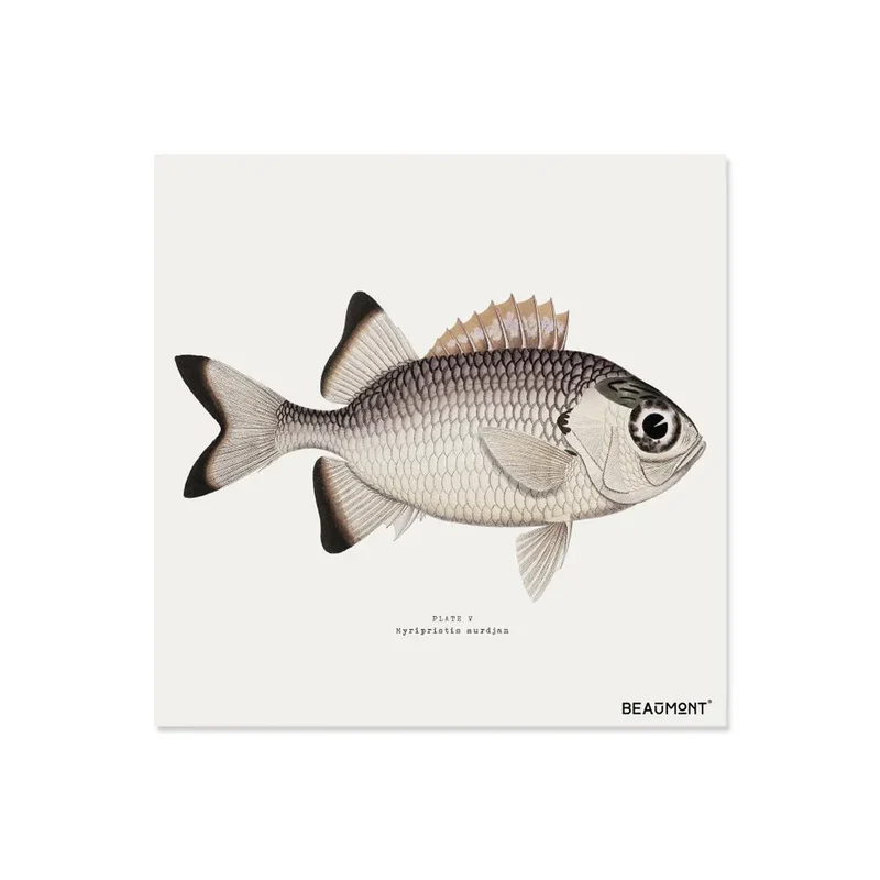 Set di 6 sottobicchieri in vinile Myripristis