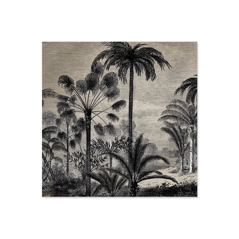Set di 6 sottobicchieri in vinile Amazonia
