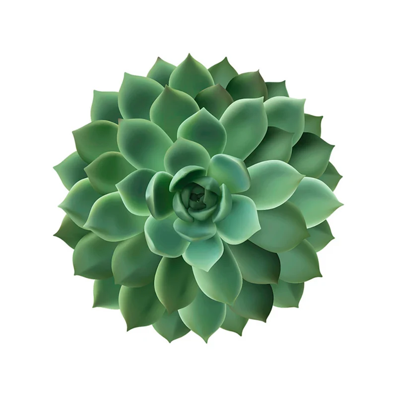 Set di 6 sottobicchieri in vinile Cactus
