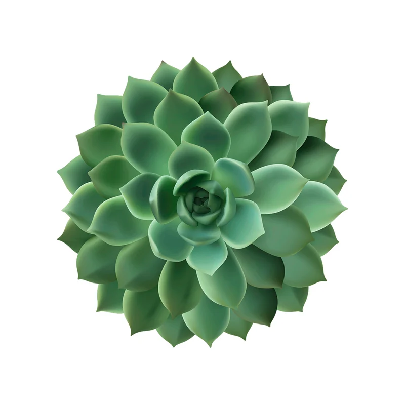 Tovaglietta in vinile con cactus