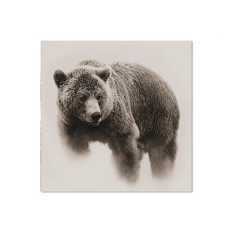 Set di 6 sottobicchieri in vinile Bear