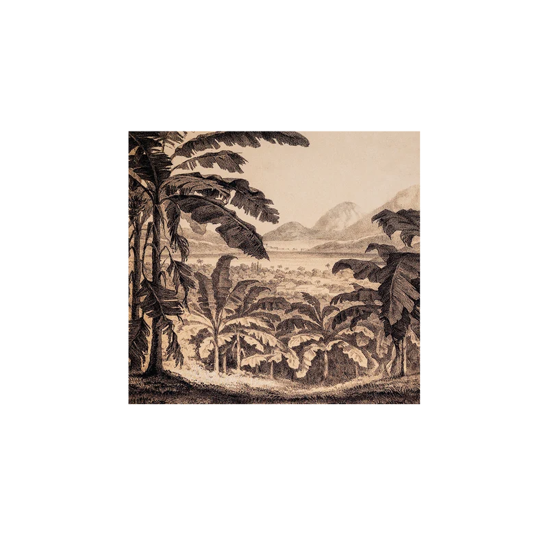 Set di 6 sottobicchieri in vinile Jungle Tia