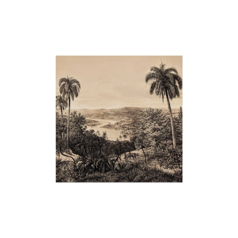 Set di 6 sottobicchieri in vinile Jungle Braza