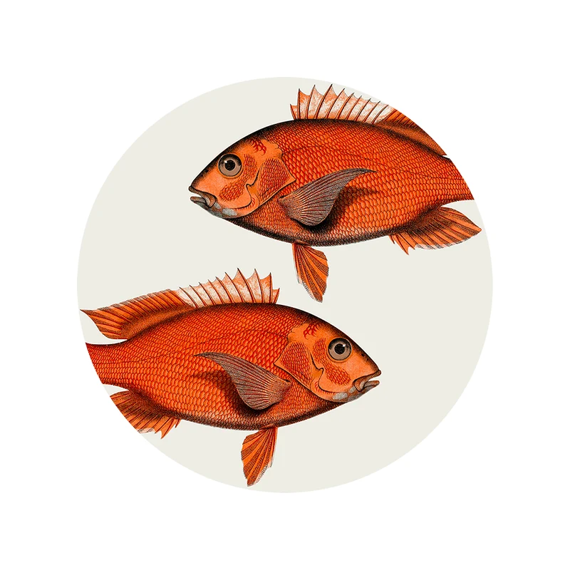 Set di 6 sottobicchieri in vinile Pescado Coral