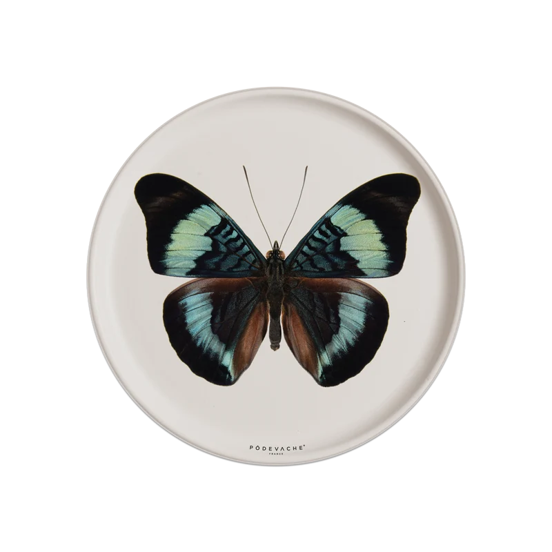 Set di 6 sottobicchieri in vinile Thecla Butterfly