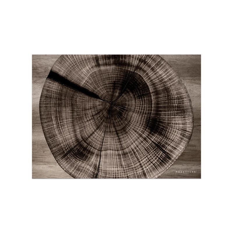 Tovaglietta in vinile Cutch Wood