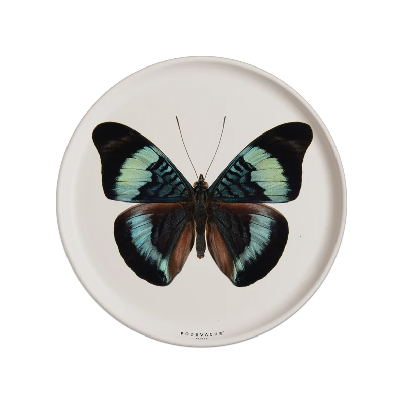 Tovaglietta in vinile Thecla Butterfly